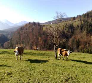 Walersee