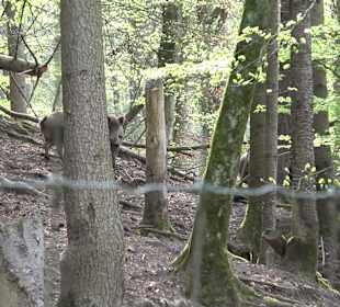 Walderlebnisweg Rottenburg