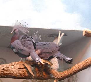 Zoo Warszawa