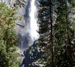 Upper & Lower Yosemite Falls
