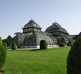 Das Palmenhaus