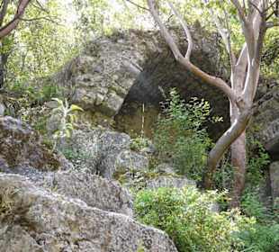 Überwucherung überall