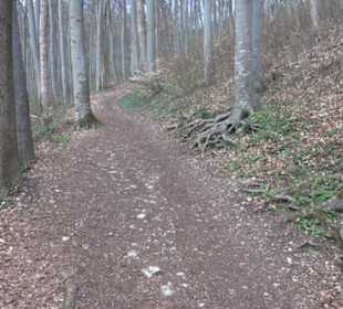 Teckberg