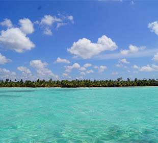 Isla Saona