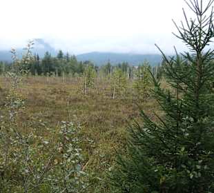 Leichte Wanderung auf der Kalorienrunde