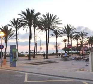 Frühe Abendstimmung, Platja de Palma