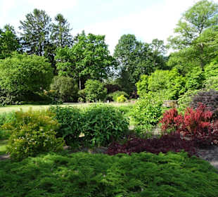 Spaziergang durch den Botanischen Garten Bremen