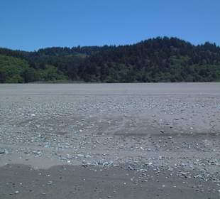 Parco nazionale Redwood