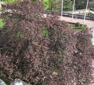 Casemates de la Pétrusse