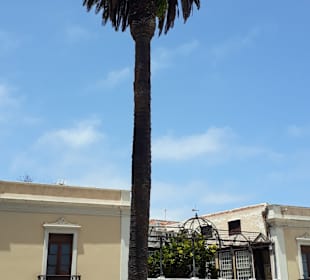 Altstadt La Orotava