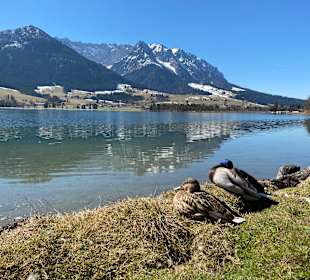 Walchsee