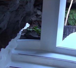 Fundacion Cesar Manrique