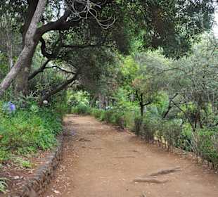 Alter Teil des Parks