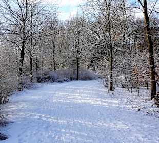 Winterspaziergang durch den Bürgerpark