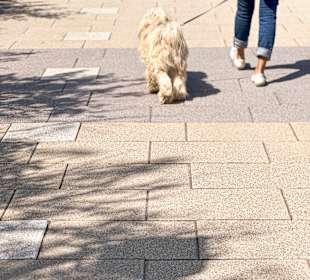 Strandpromenade Kühlungsborn