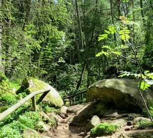 Urwüchsige Naturlandschaft