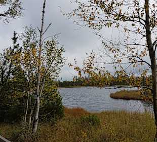 Wildsee im Schwarzwald