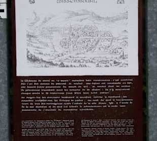 Grenzüberschreitender Rundweg durch die Weinberge