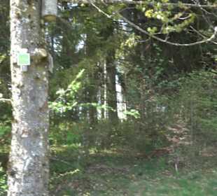 Premiumspazierwanderweg - Hochgehhütet