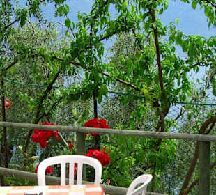 Biergarten in exponierter Lage