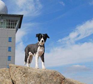 Ausflugstipp zum Brocken