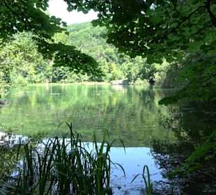 Wiesaztal Gönningen