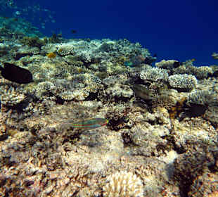 Bilder vom 13.10.16 von mir geschossen