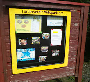 Der neue Wildpark in Bad Marienberg