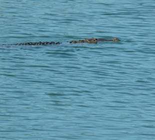 Sian Kaan Nationalpark