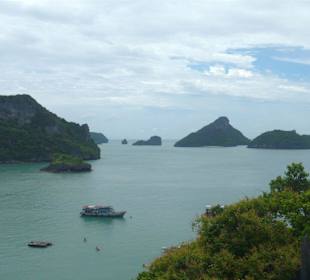 Ausblick vom grün-blauen See!
