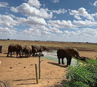 Tsavo Ost Nationalpark