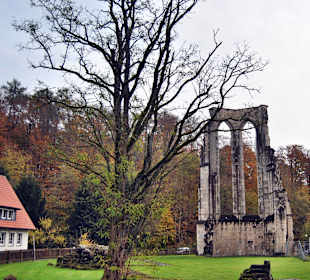 Klosterrunine Walkenried