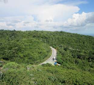 Der Weg zum Dschungel