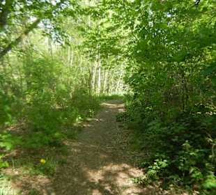 Naturschutzgebiet Boberger Niederung