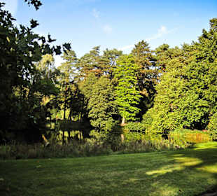 Кладбище Ольсдорф, Гамбург, 16 сентября 2013 года