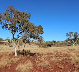 Karijini NP