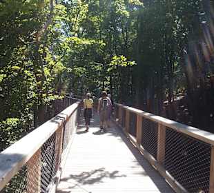 Auf Schusters Rappen