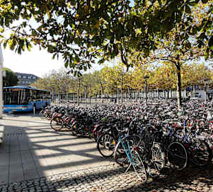Blick auf den Busbahnhof direkt neben dem Hbf
