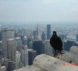 New York aus der Vogelperspektive - wie wahr!