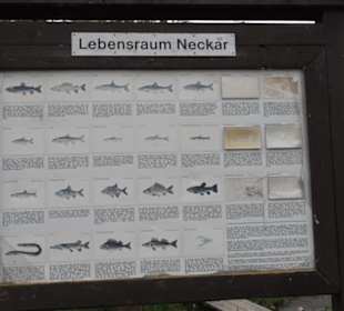Freizeitpark Schänzle