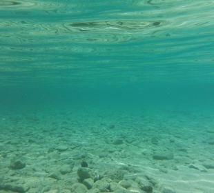 Hausriff, rechts von der Marina