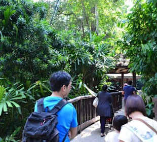 Singapur Zoo