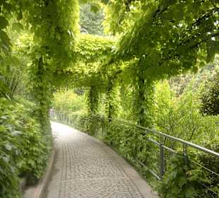 Weg durch den Park
