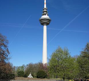 4/12 Herrliches Wetter