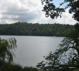 Lake Barrine