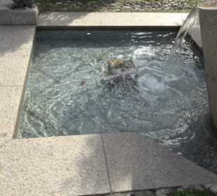 Brunnen Dorfplatz Am Anger