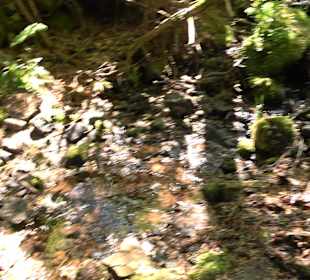 Griesbacher Wasserfälle Bad Griesbach