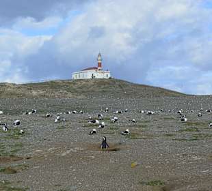 Park Narodowy Isla Magdalena