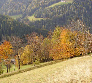 Herbstliche Farben