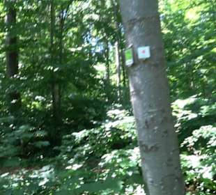 Premiumwanderweg "hochgelegen"